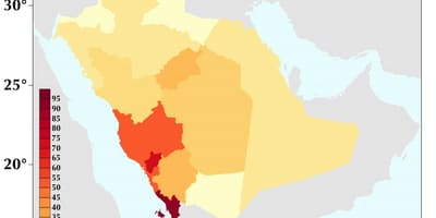 Saudi Arabia populasyon density mapa